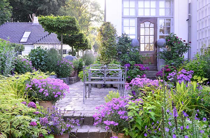 Cottage garden