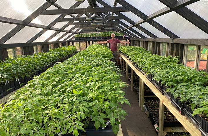 Inside Joe Lamp's greenhouse