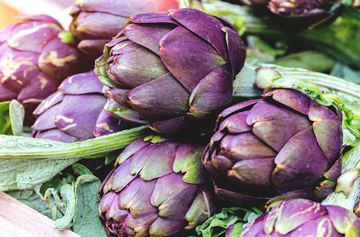 Heads of purple artichoke
