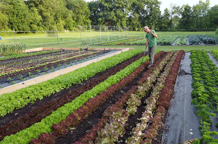 Clay Bottom Farm's Ben Hartman