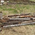 rotten wood arrangement for Hugelkultur