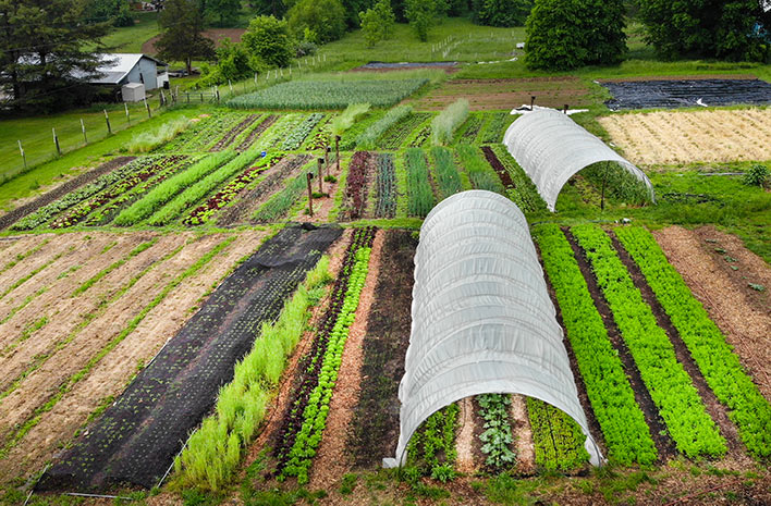 Overhead shot of Rough Draft Farm