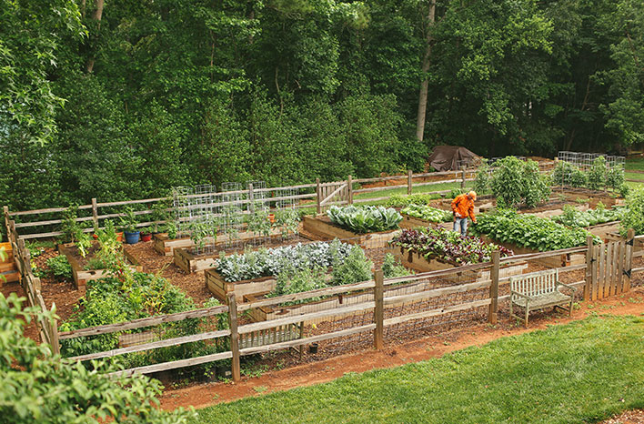 organic gardening