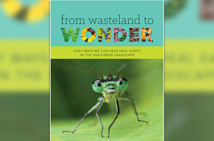 From Wasteland to Wonder