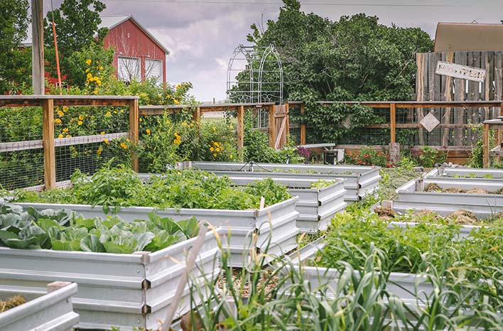 The Prairie Homestead