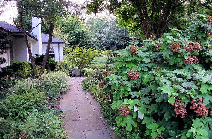 working with native plants in your garden