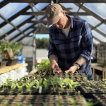 Joe Lamp'l with seedlings