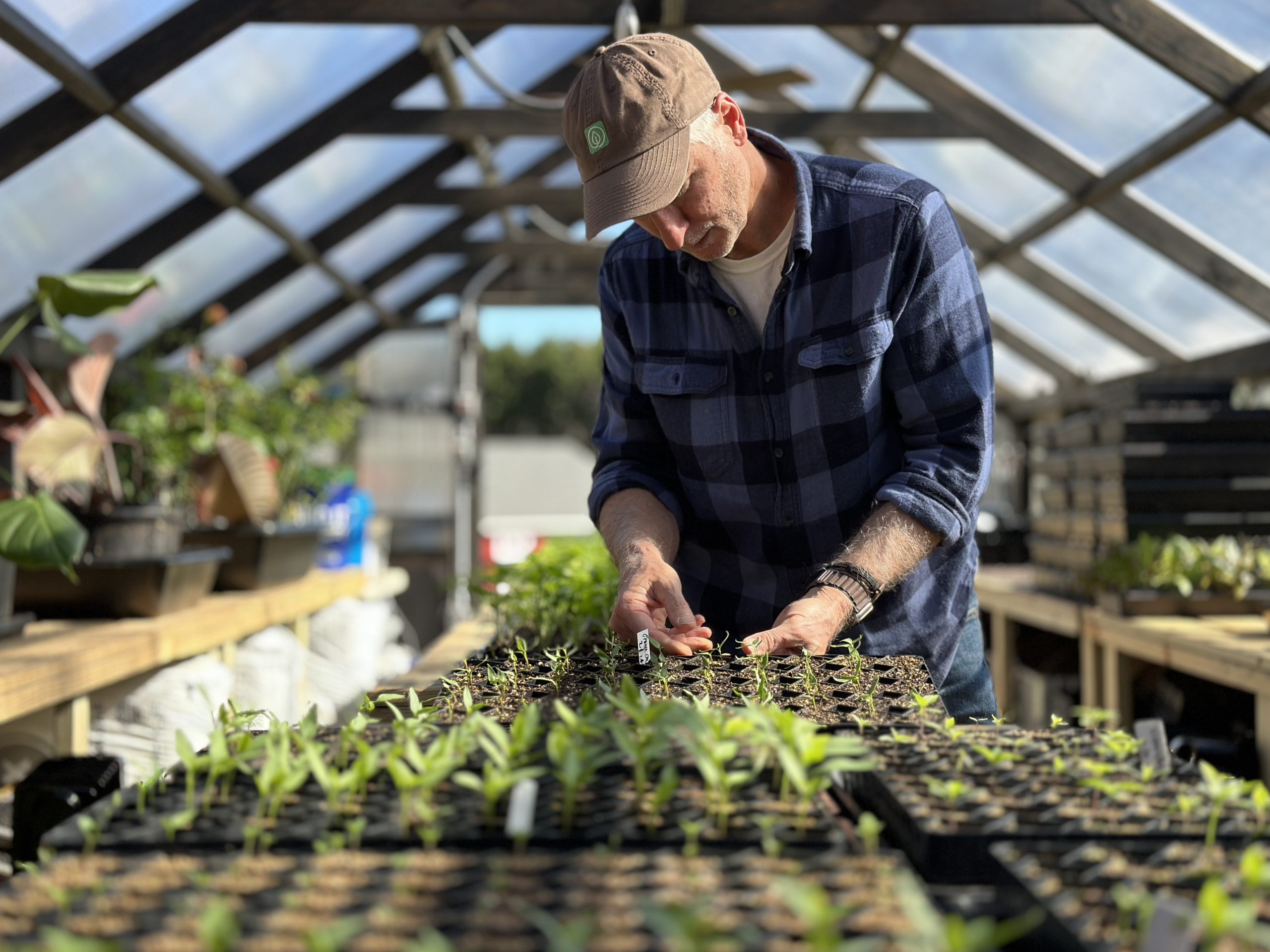 Joe Lamp'l with seedlings