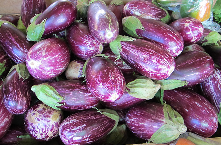 eggplant