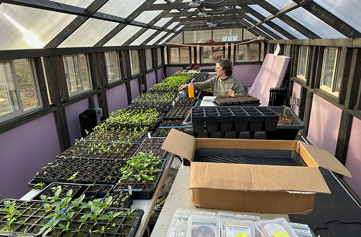 Tobi McDaniel in the greenhouse