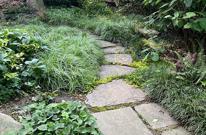 Groundcover solutions around a path