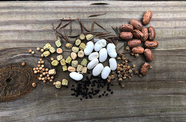 Assortment of seeds