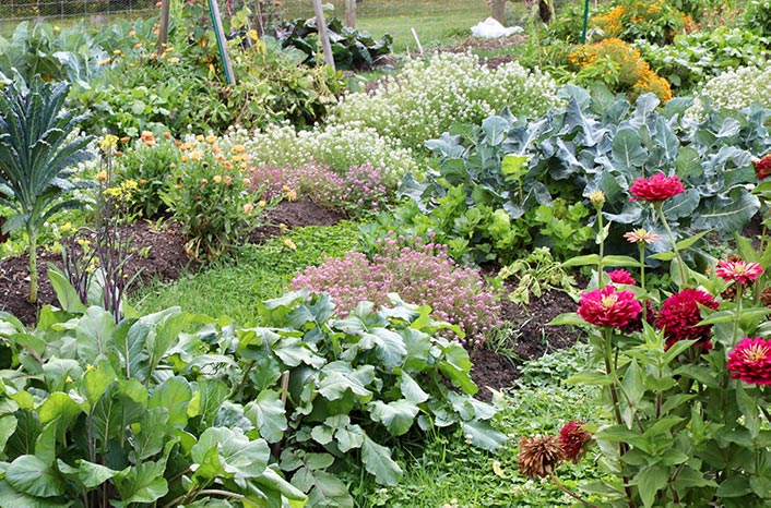 Flowers and leafy greens
