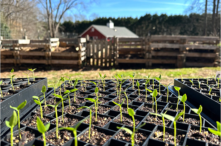 Sharing seed starting updates