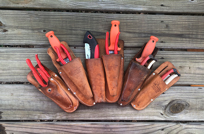 Gardening tools in leather sheaths
