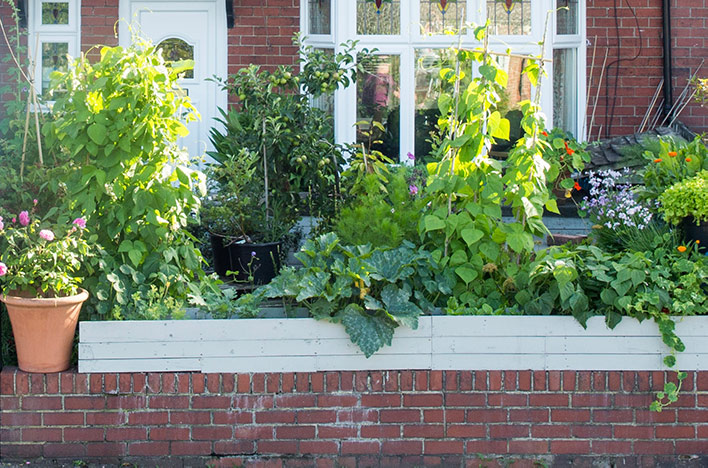 Small space vegetable gardening