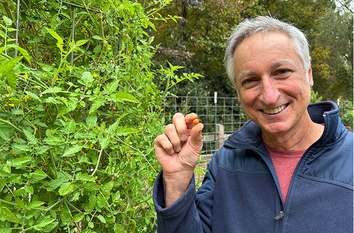Joe Lamp'l with a tomato in his fall garden.