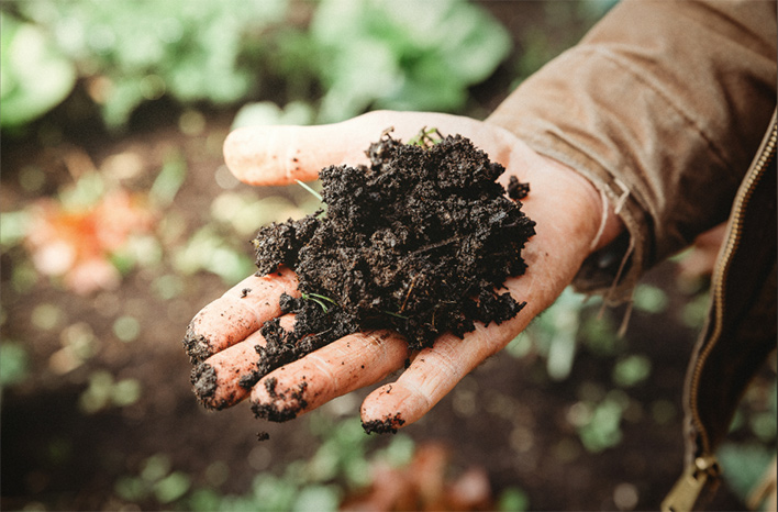Handful or organic soil