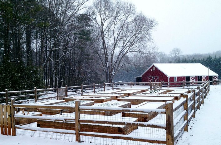GardenFarm in snow
