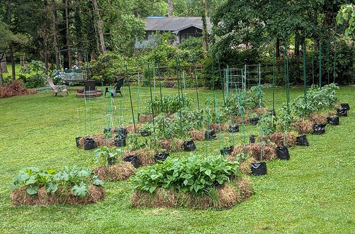 Craig's straw bale garden