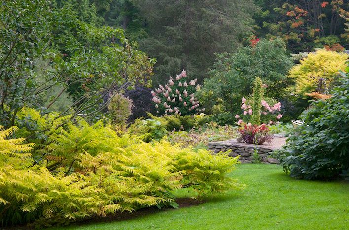 Margaret Roach's house. One of Margaret’s first orders of business was painting her house from white to a dark olive, grounding it to the landscape.