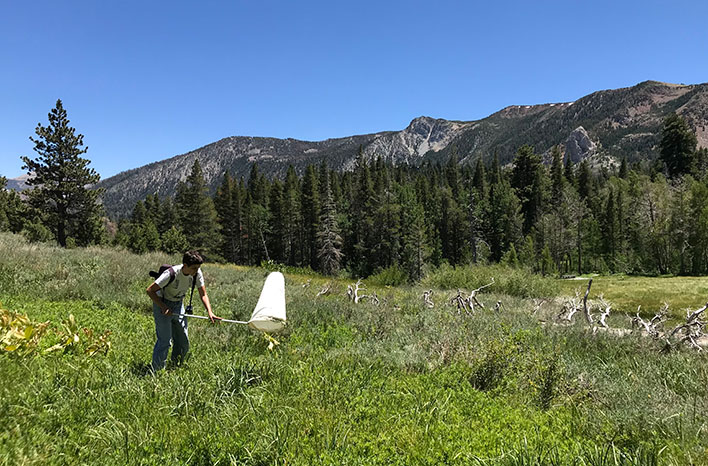 Zoe Schlanger catching grasshoppers
