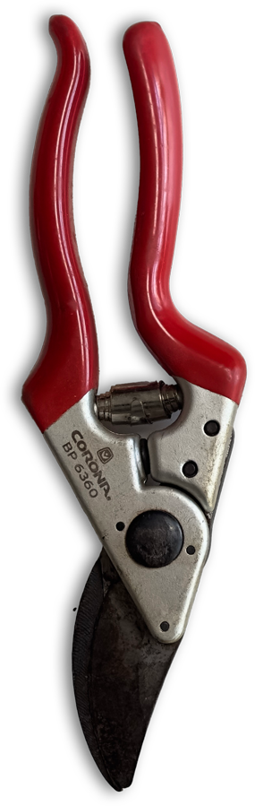 pruners